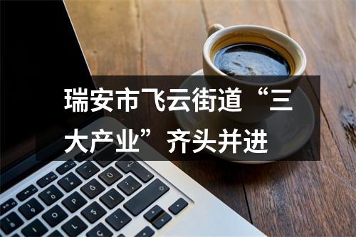 瑞安市飞云街道“三大产业”齐头并进