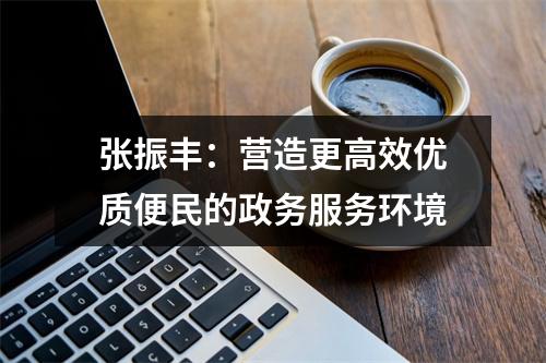 张振丰：营造更高效优质便民的政务服务环境