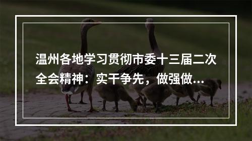 温州各地学习贯彻市委十三届二次全会精神：实干争先，做强做大“全省第三极”