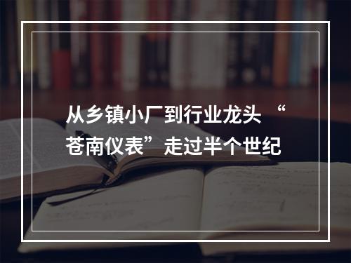 从乡镇小厂到行业龙头 “苍南仪表”走过半个世纪