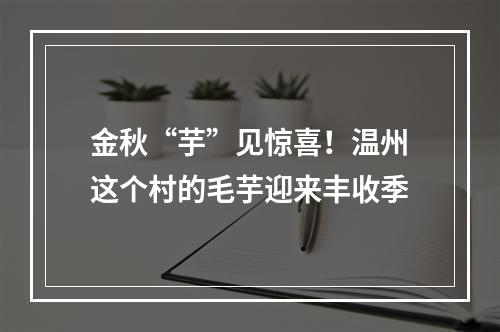 金秋“芋”见惊喜！温州这个村的毛芋迎来丰收季