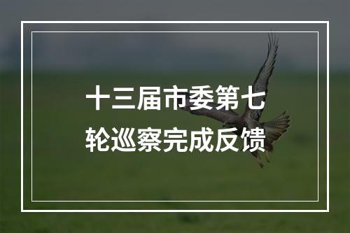 十三届市委第七轮巡察完成反馈