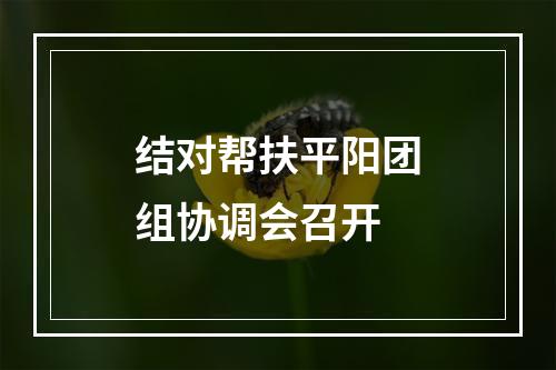 结对帮扶平阳团组协调会召开