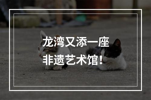 龙湾又添一座非遗艺术馆！