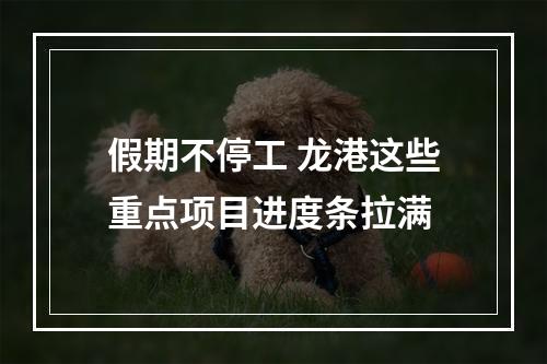 假期不停工 龙港这些重点项目进度条拉满