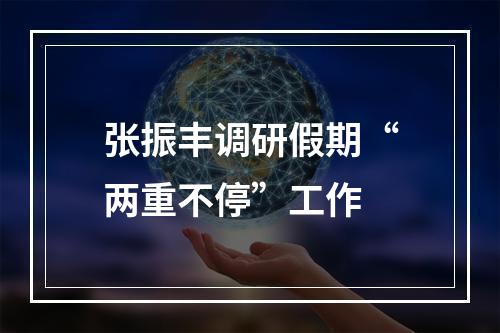 张振丰调研假期“两重不停”工作