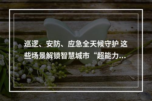 巡逻、安防、应急全天候守护 这些场景解锁智慧城市“超能力”