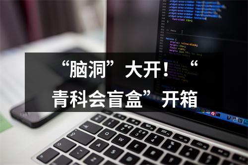 “脑洞”大开！“青科会盲盒”开箱