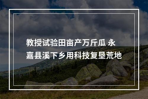 教授试验田亩产万斤瓜 永嘉县溪下乡用科技复垦荒地