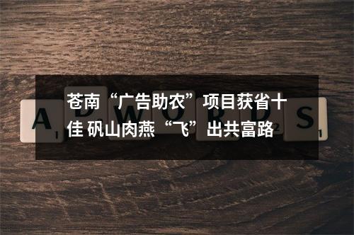 苍南“广告助农”项目获省十佳 矾山肉燕“飞”出共富路