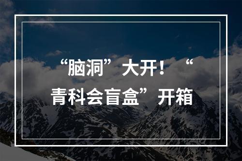 “脑洞”大开！“青科会盲盒”开箱