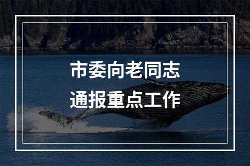 市委向老同志通报重点工作