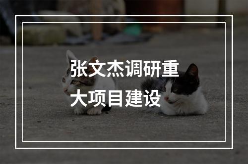 张文杰调研重大项目建设