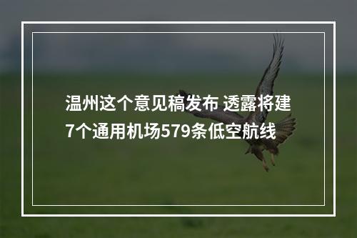 温州这个意见稿发布 透露将建7个通用机场579条低空航线