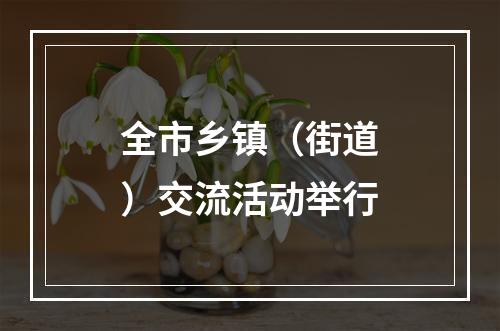 全市乡镇（街道）交流活动举行