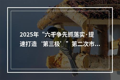 2025年“六干争先抓落实·提速打造‘第三极’”第二次市直部门比看活动举行