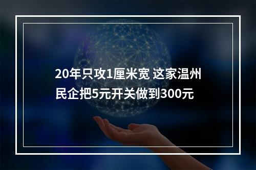 20年只攻1厘米宽 这家温州民企把5元开关做到300元