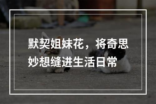 默契姐妹花，将奇思妙想缝进生活日常