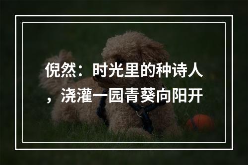 倪然：时光里的种诗人，浇灌一园青葵向阳开