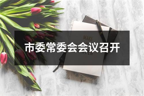 市委常委会会议召开