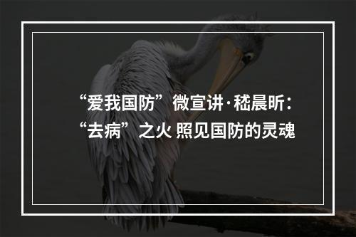 “爱我国防”微宣讲·嵇晨昕：“去病”之火 照见国防的灵魂