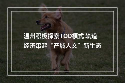 温州积极探索TOD模式 轨道经济串起“产城人文”新生态