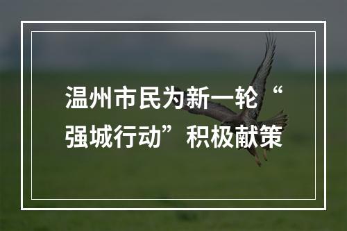 温州市民为新一轮“强城行动”积极献策