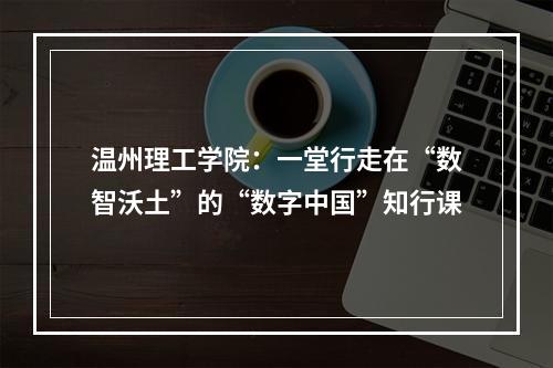 温州理工学院：一堂行走在“数智沃土”的“数字中国”知行课