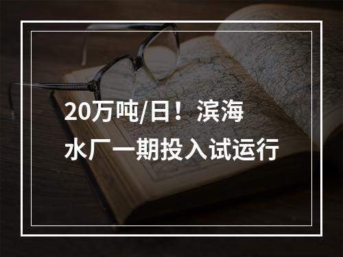 20万吨/日！滨海水厂一期投入试运行