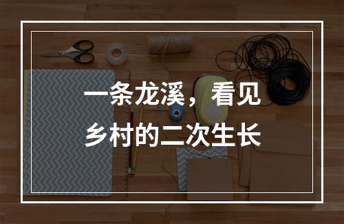 一条龙溪，看见乡村的二次生长