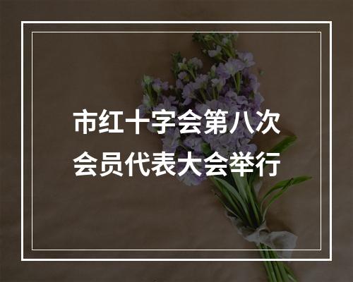 市红十字会第八次会员代表大会举行