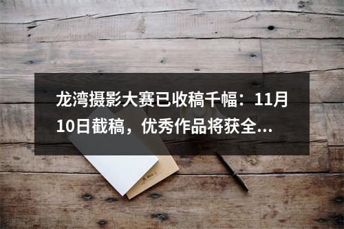 龙湾摄影大赛已收稿千幅：11月10日截稿，优秀作品将获全域推广