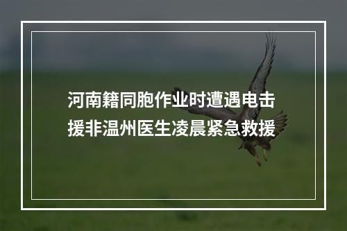 河南籍同胞作业时遭遇电击 援非温州医生凌晨紧急救援