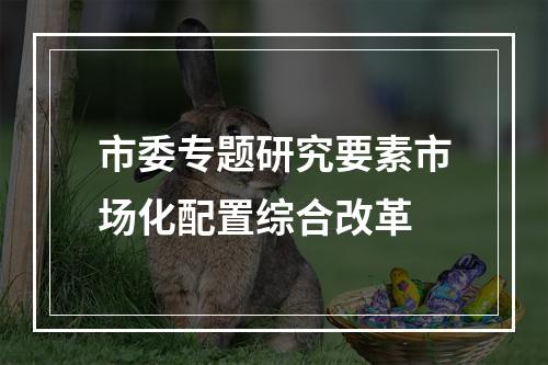 市委专题研究要素市场化配置综合改革