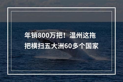 年销800万把！温州这拖把横扫五大洲60多个国家