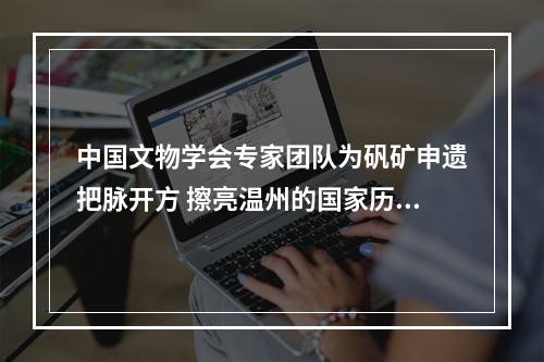 中国文物学会专家团队为矾矿申遗把脉开方 擦亮温州的国家历史文化名城金名片
