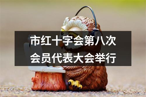 市红十字会第八次会员代表大会举行