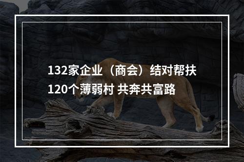 132家企业（商会）结对帮扶120个薄弱村 共奔共富路