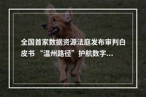 全国首家数据资源法庭发布审判白皮书 “温州路径”护航数字经济健康发展