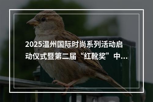 2025温州国际时尚系列活动启动仪式暨第二届“红靴奖”中国国际鞋类设计大赛颁奖典礼举行