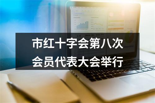 市红十字会第八次会员代表大会举行