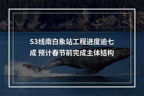S3线南白象站工程进度逾七成 预计春节前完成主体结构