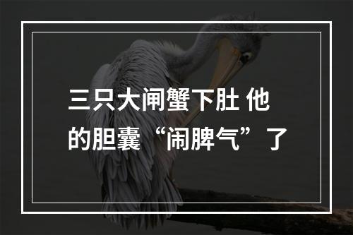 三只大闸蟹下肚 他的胆囊“闹脾气”了
