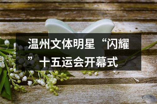 温州文体明星“闪耀”十五运会开幕式