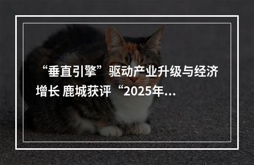 “垂直引擎”驱动产业升级与经济增长 鹿城获评“2025年楼宇经济十大活力城区”
