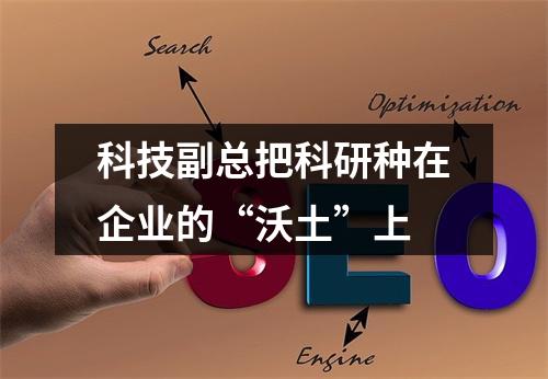 科技副总把科研种在企业的“沃土”上