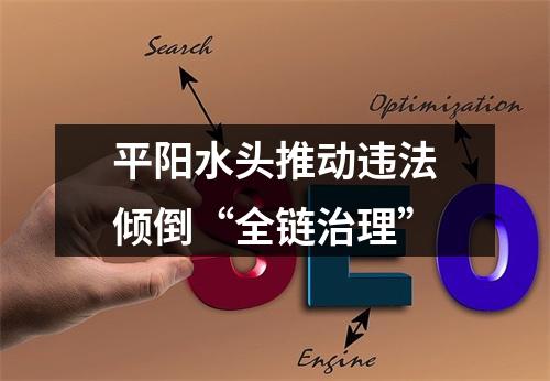 平阳水头推动违法倾倒“全链治理”