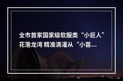 全市首家国家级软服类“小巨人”花落龙湾 精准滴灌从“小苗”起呵护