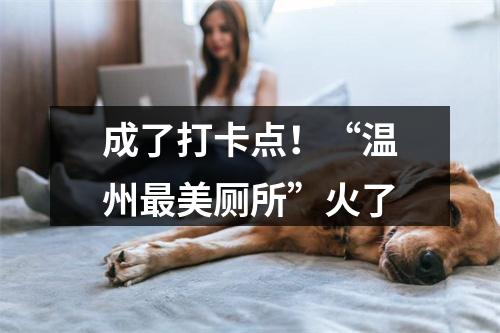 成了打卡点！“温州最美厕所”火了