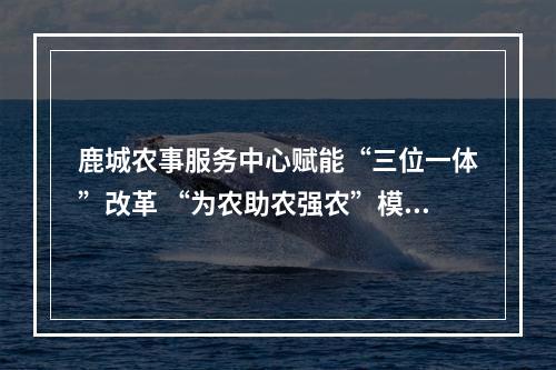 鹿城农事服务中心赋能“三位一体”改革 “为农助农强农”模式全省推广